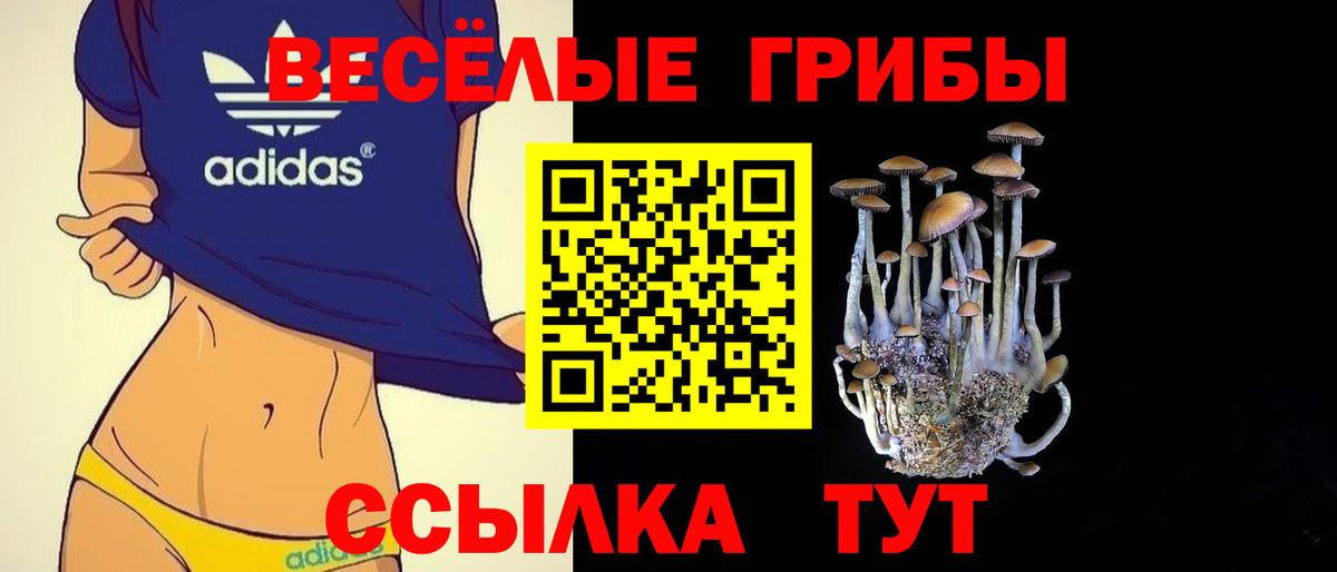 Псилоцибиновые грибы Psilocybe Елабуга